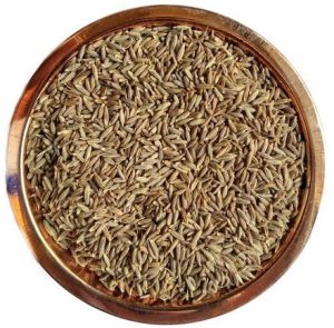 Dried Cumin Seeds