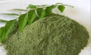 Curry Leaves Powder