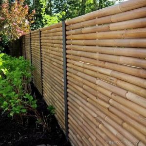 Bamboo Boundary Wall Construction Service