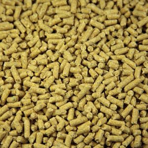 Animal Feed Pellet