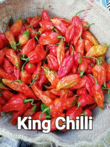 King Chilli