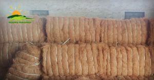 Coir Fiber