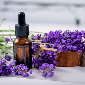 Lavender Oil