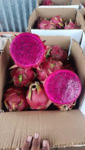 Fresh Dragon Fruit