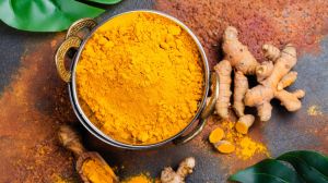 turmeric ( hsn 091030 )