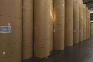 Packaging Kraft Paper