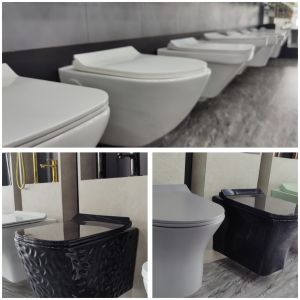 Ceramic Toilet