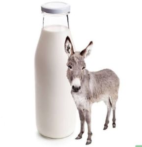 Donkey Milk