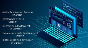 Custom web development in Gurgaon