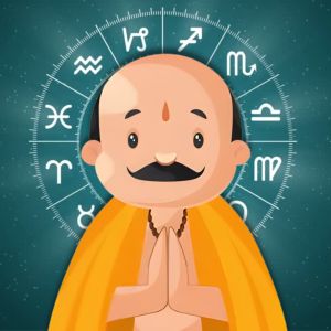 Astrologer Services