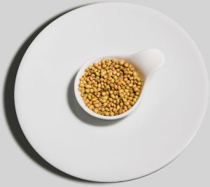 Coriander Seeds