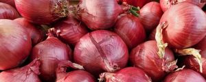 Red Onion