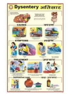 Dysentery Chart