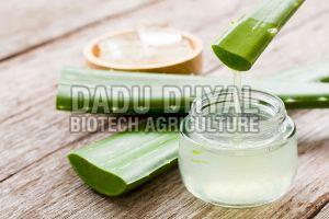 Aloe Vera Juice