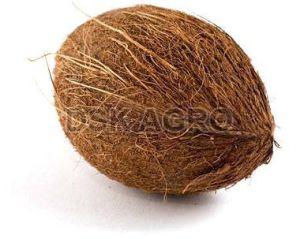 Fresh Brown Coconut