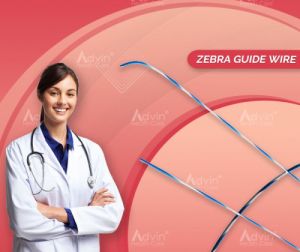 Zebra Guide Wire Gastrology