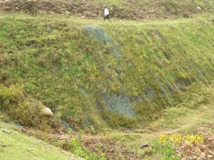 Erosion Control Mat