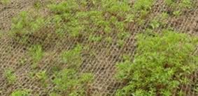 Erosion Control Mat