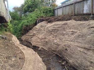 Slope Stabilization