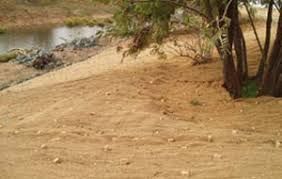 Jute Erosion Mat