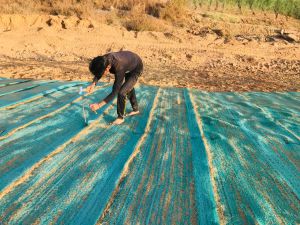 Slope Stabilization
