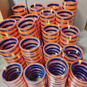 Oil Seals