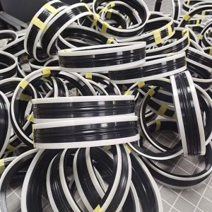 Oil Seals