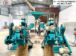 12 Tons Per Day Fully Automatic Oil Mill Plant