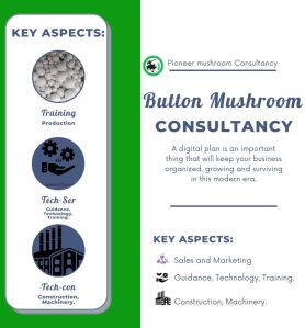 Button Mushroom Farming Consultancy