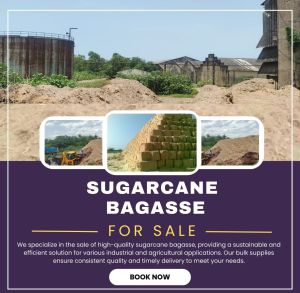 Sugarcane Bagasse