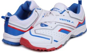 Cricket Shoes