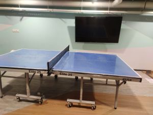 Table Tennis Table