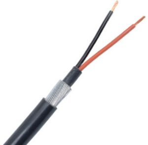 Epsillon 2 core copper armoured XPLE cable,4 sqmm