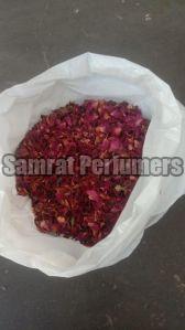 Red Dry Rose Petals