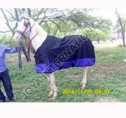 Waterproof Horse Blankets