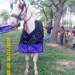 Winter Horse Blankets