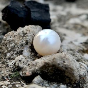 south sea pearls