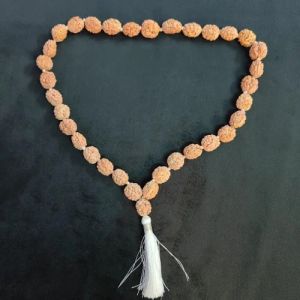 2 Mukhi Himalayan Rudraksha Mala