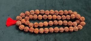 6 Mukhi Kantha Rudraksha Mala