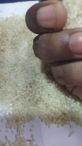 Broken Rice