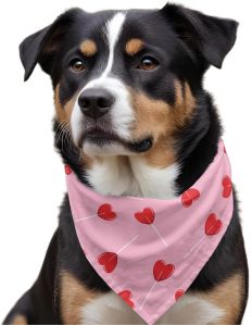 Dog Neck Bandana
