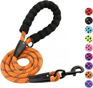 Dog Rope Leash