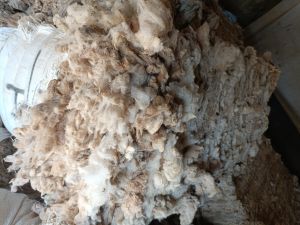 Wool Waste