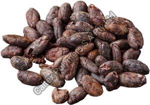 Cocoa Beans