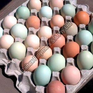 Fresh Eggs