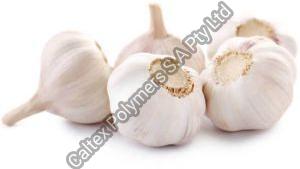 Fresh White Garlic