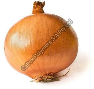 Fresh Yellow Onion