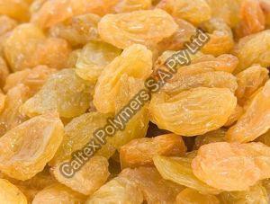 Golden Raisins