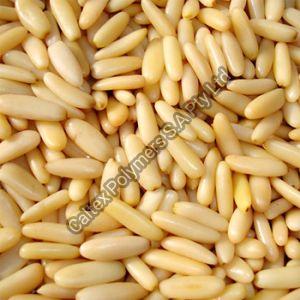 Pine Nuts