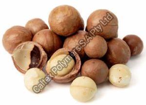 Shelled Macadamia Nuts